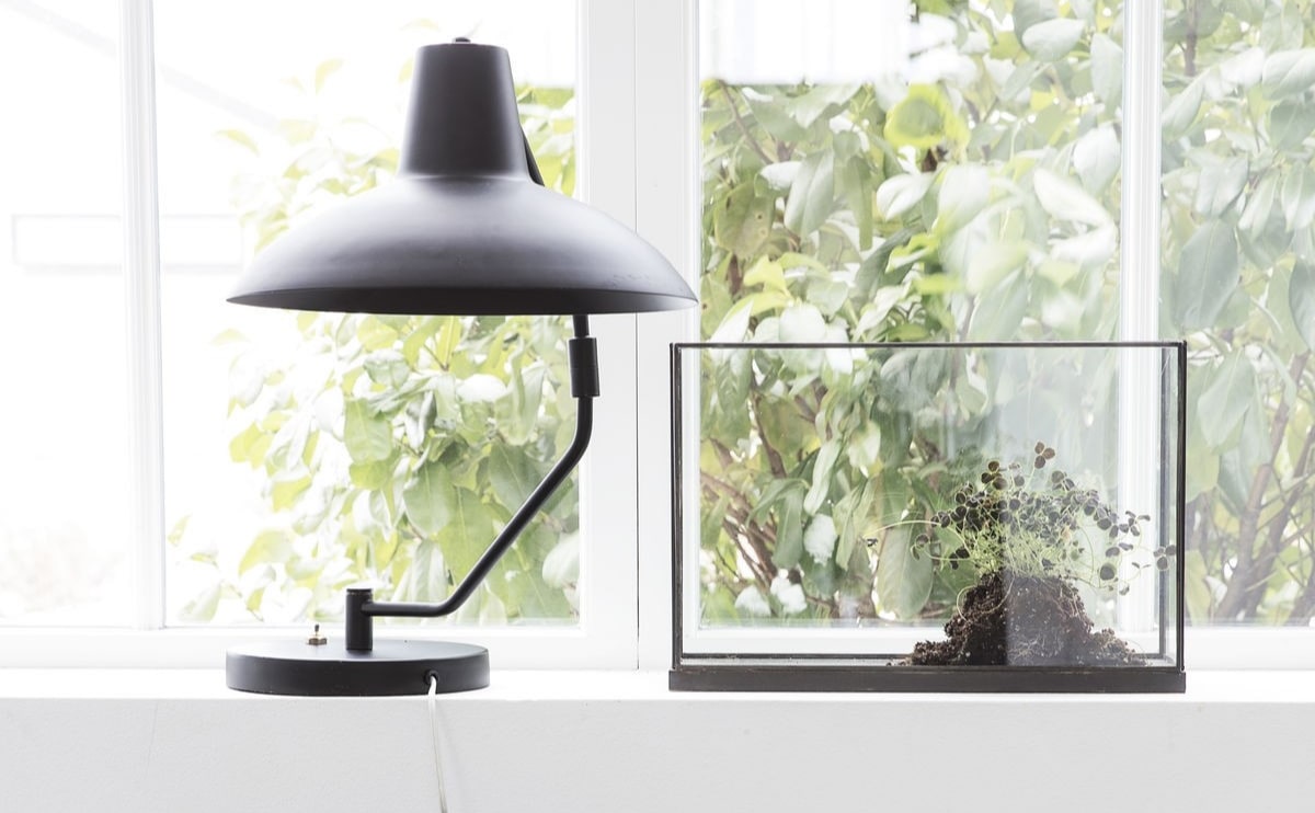A lamp and a plant container