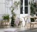 Plant decor and wooden furniture