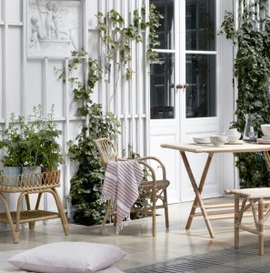 Plant decor and wooden furniture